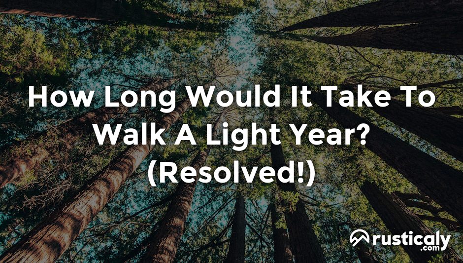 how long would it take to walk a light year