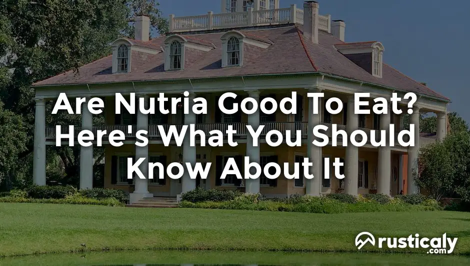 are nutria good to eat