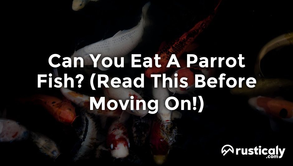 can you eat a parrot fish