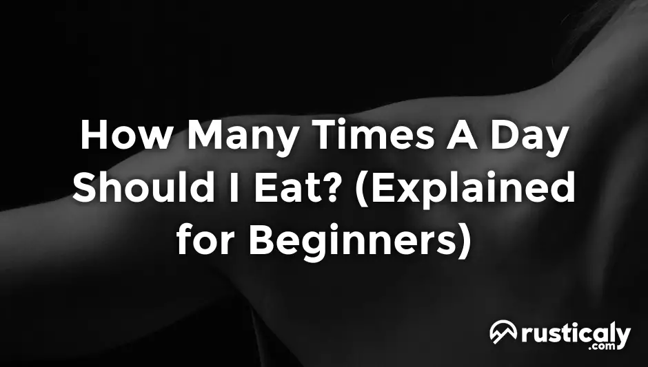 how many times a day should i eat