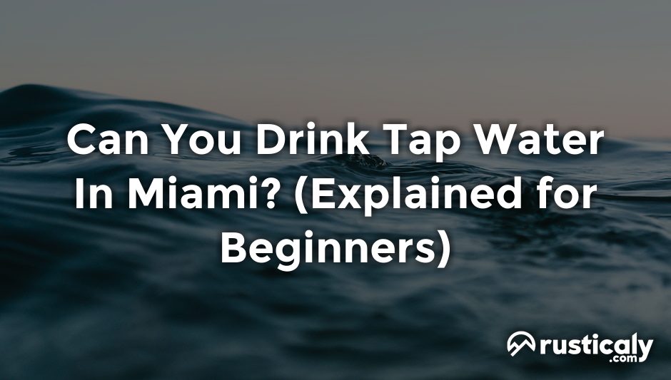 can you drink tap water in miami