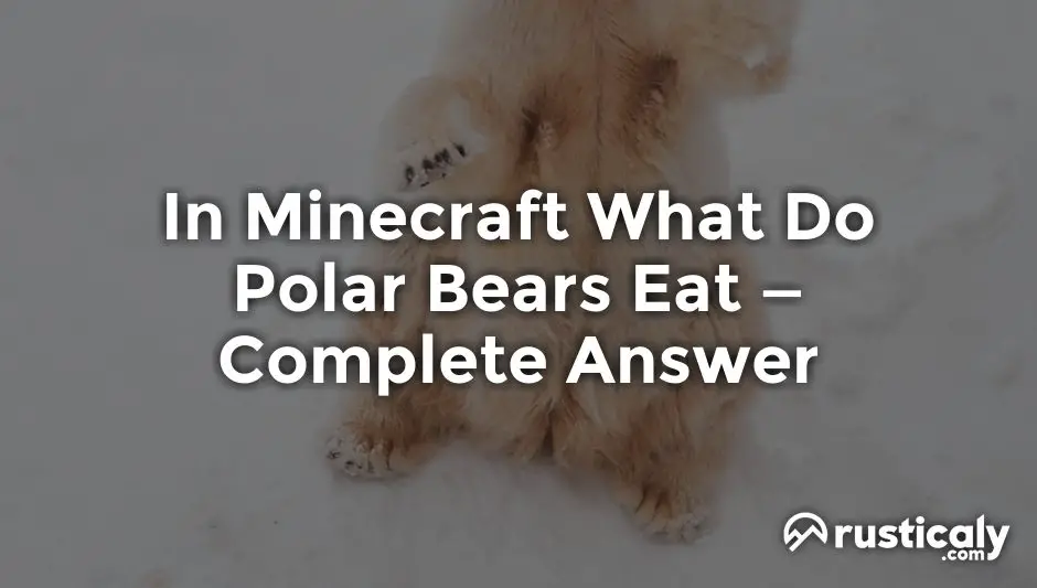 in minecraft what do polar bears eat