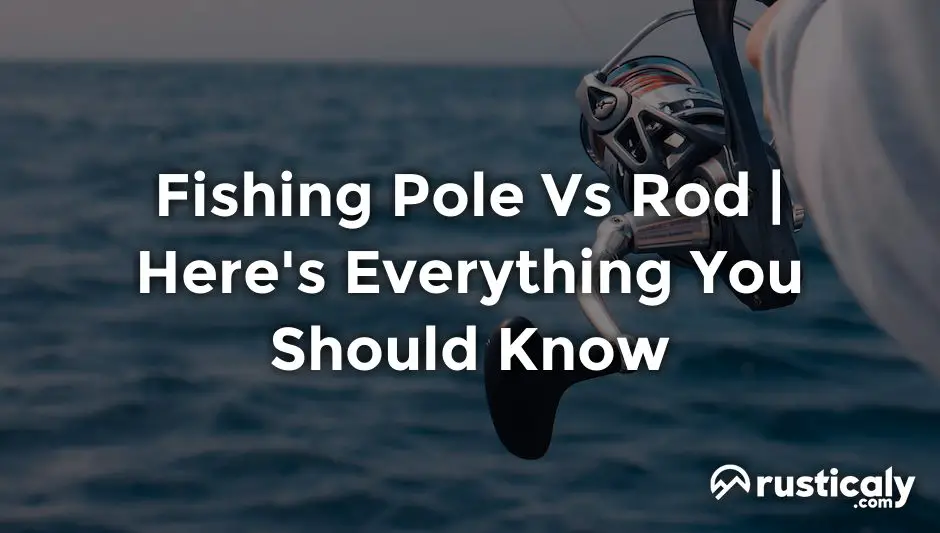 fishing pole vs rod