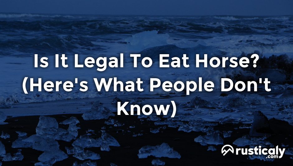 is it legal to eat horse