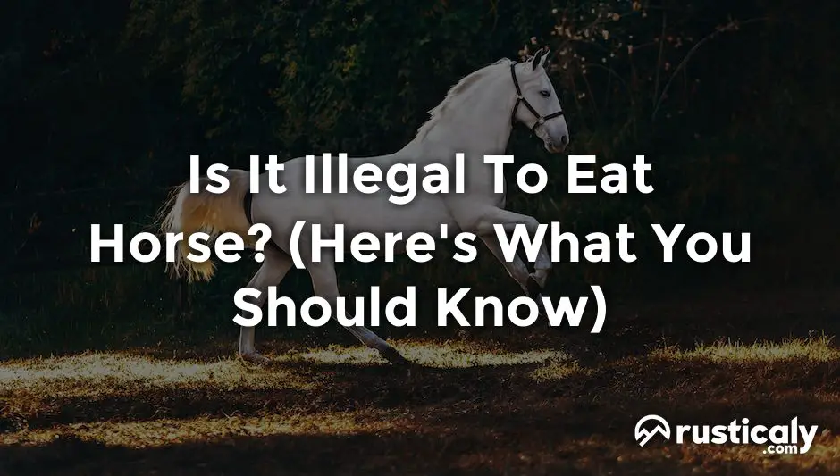 is it illegal to eat horse