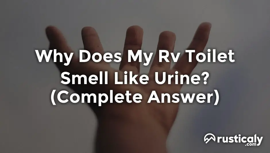 why does my rv toilet smell like urine