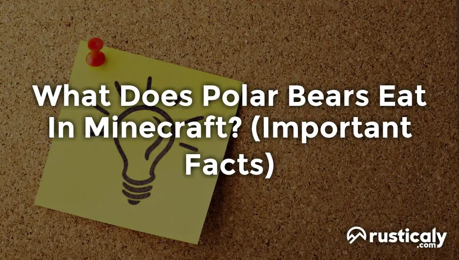 what does polar bears eat in minecraft
