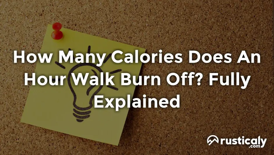 how many calories does an hour walk burn off