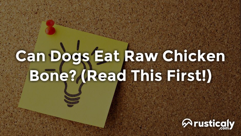 can dogs eat raw chicken bone