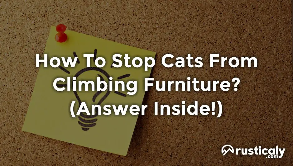 how to stop cats from climbing furniture