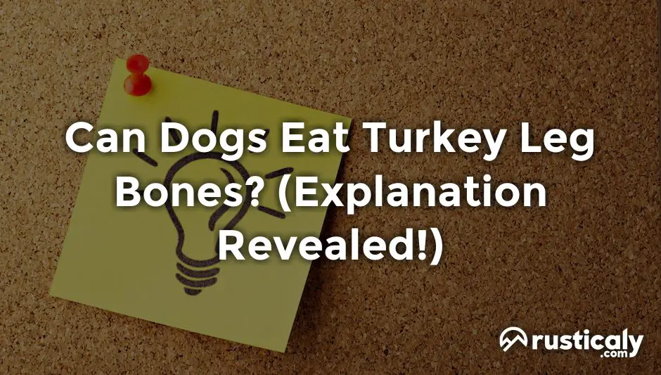 can dogs eat turkey leg bones