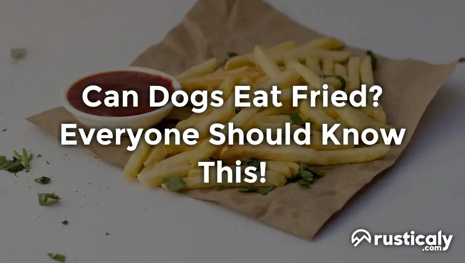 can dogs eat fried