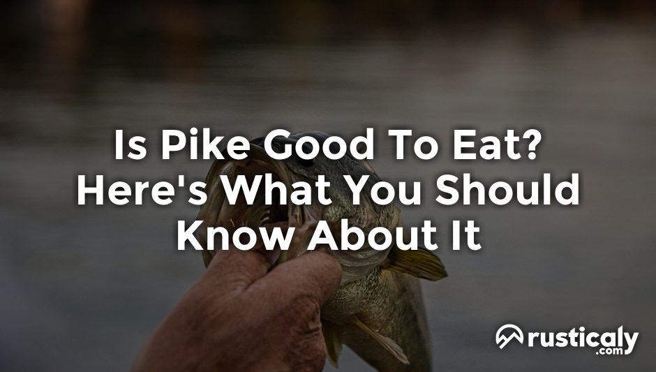 is pike good to eat