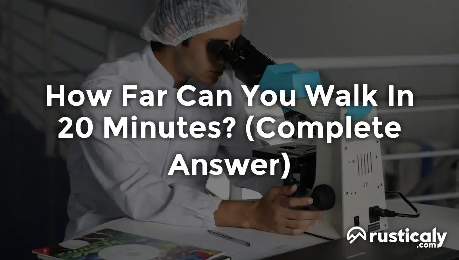 how far can you walk in 20 minutes