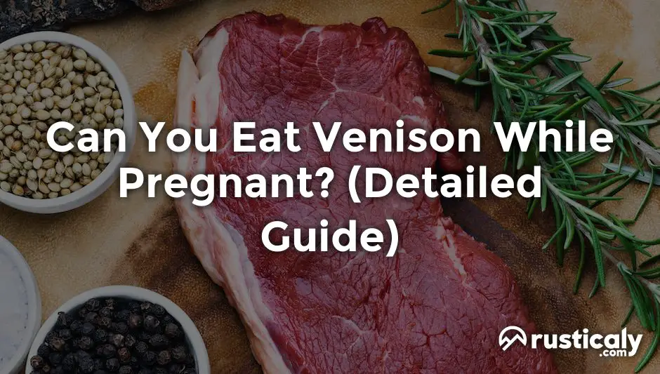 can you eat venison while pregnant