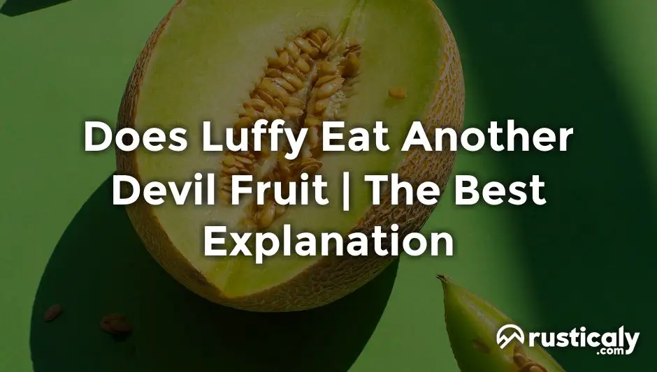 does luffy eat another devil fruit