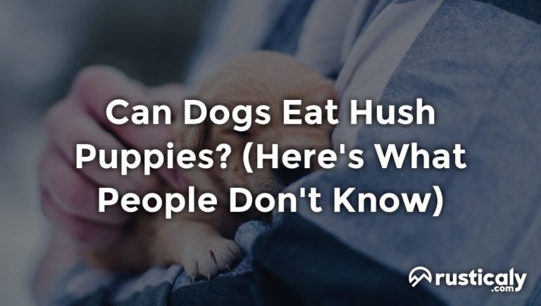 can dogs eat hush puppies
