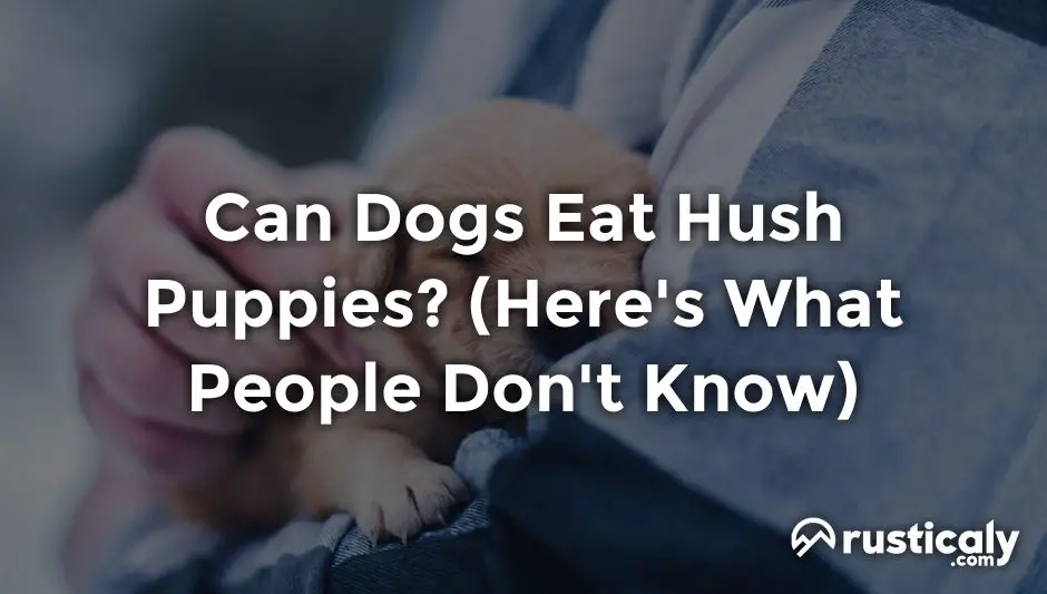 can dogs eat hush puppies