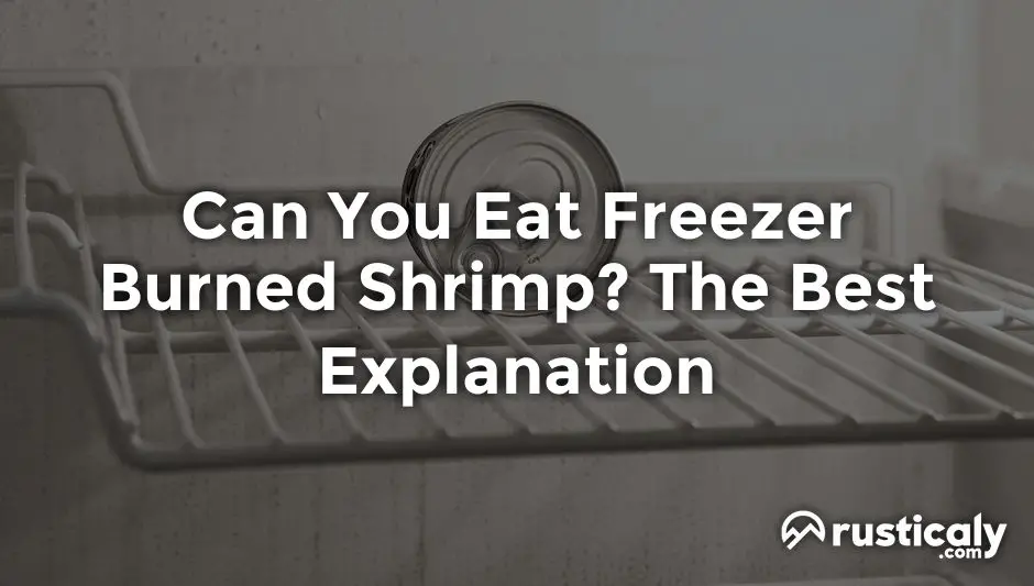 can you eat freezer burned shrimp