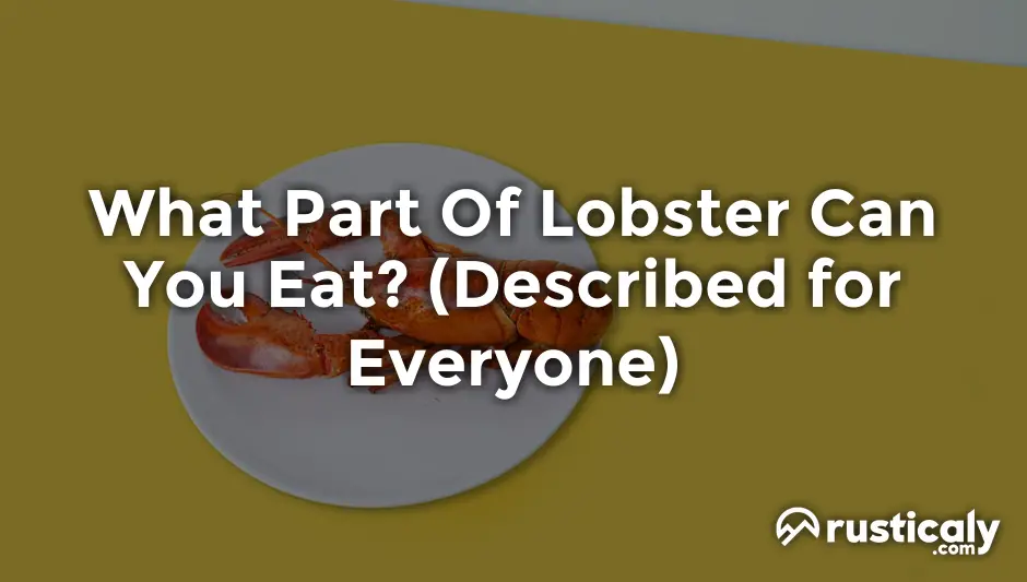 what part of lobster can you eat
