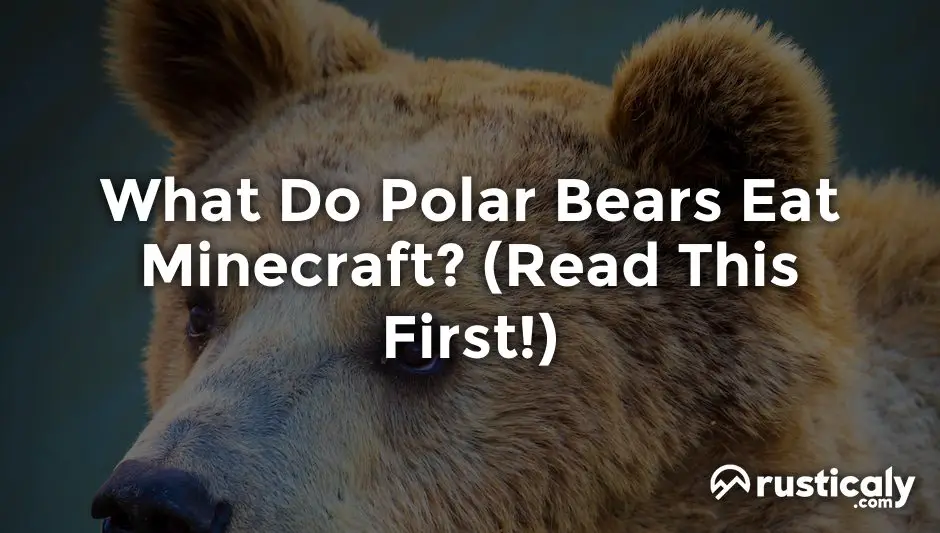 what do polar bears eat minecraft