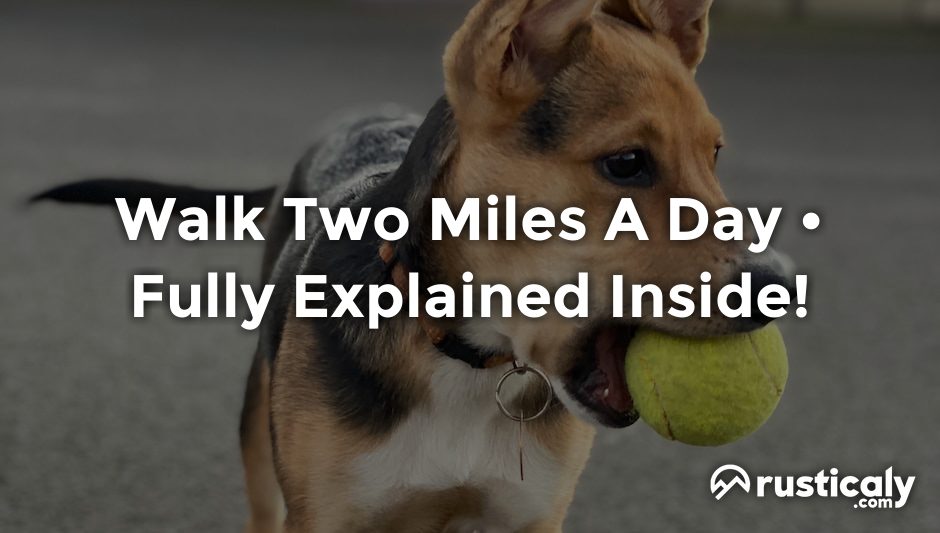 walk two miles a day
