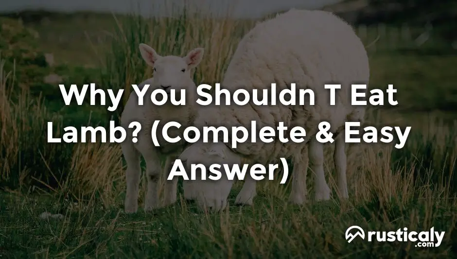 why you shouldn t eat lamb