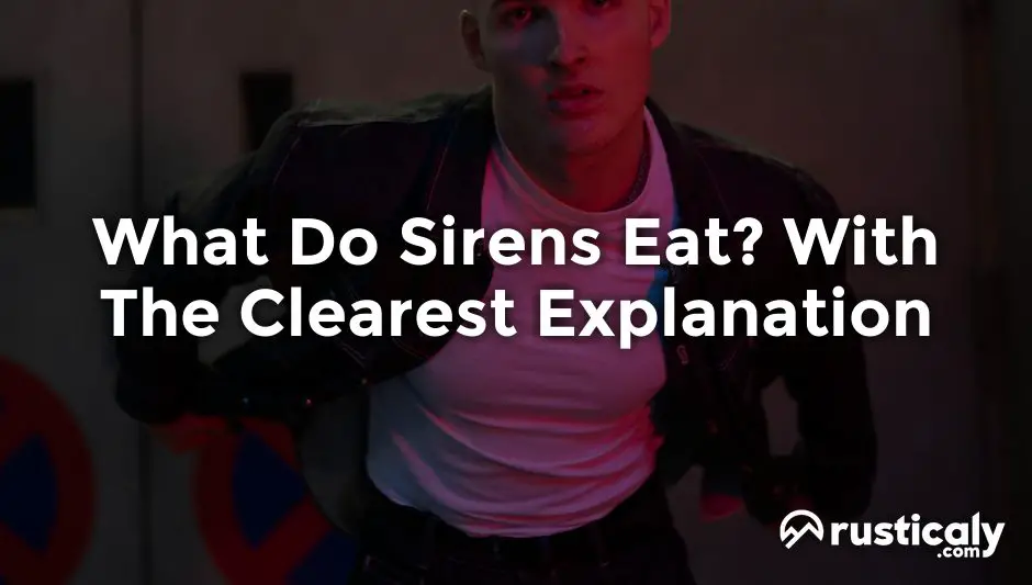 what do sirens eat