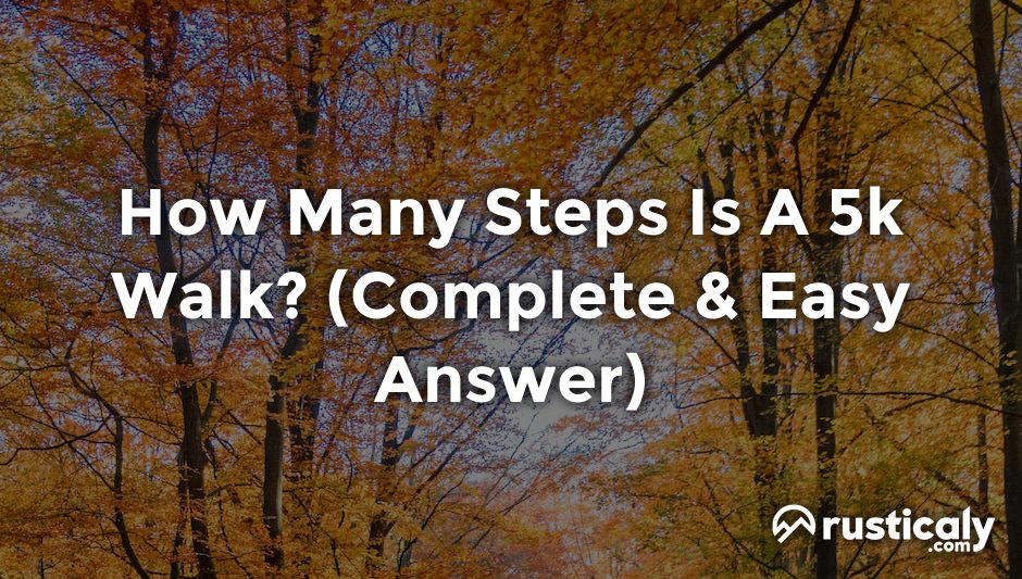 how many steps is a 5k walk