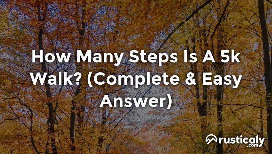 How Many Steps Is A 5k Walk The Ultimate Explanation how-many-steps-is-a-5k-walk-the-ultimate-explanation
