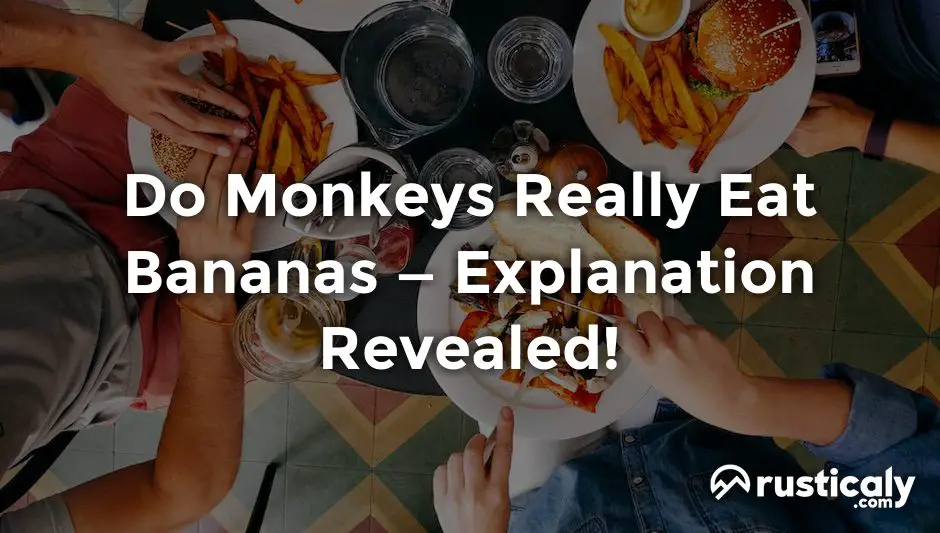 do monkeys really eat bananas