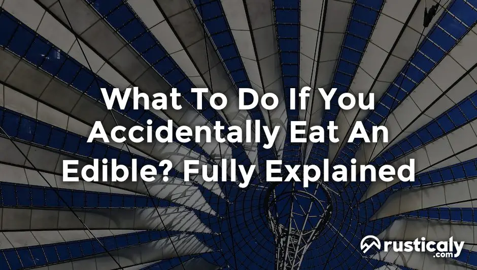 what to do if you accidentally eat an edible