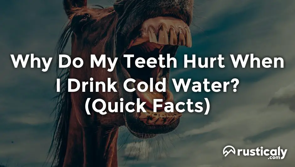 why do my teeth hurt when i drink cold water