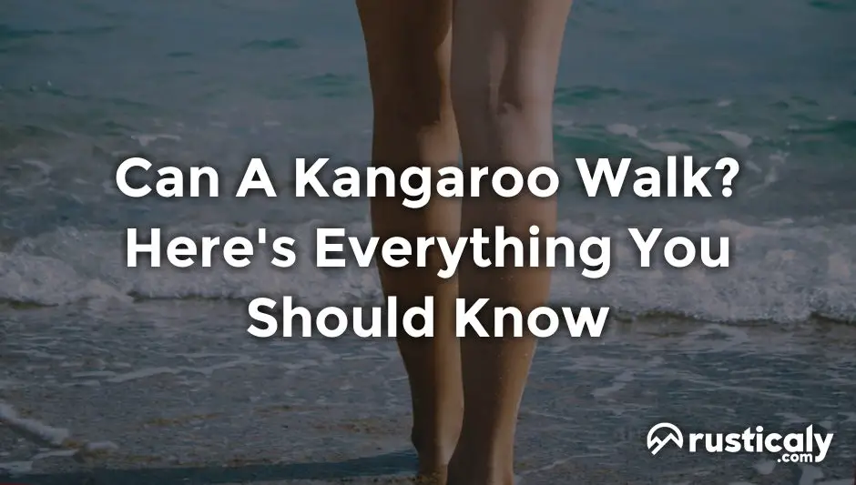 can a kangaroo walk