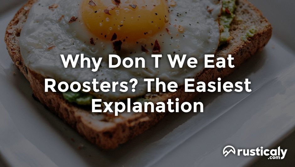 why don t we eat roosters