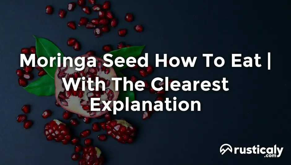 moringa seed how to eat