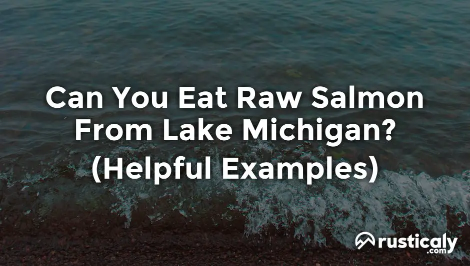 can you eat raw salmon from lake michigan