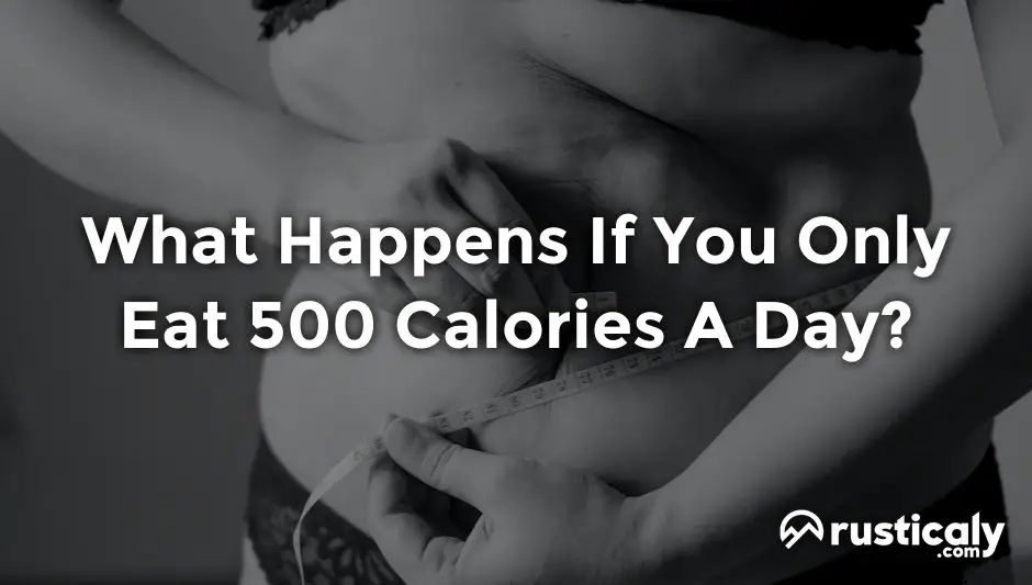 what happens if you only eat 500 calories a day