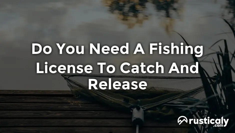 do you need a fishing license to catch and release