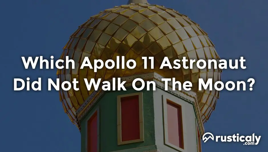 which apollo 11 astronaut did not walk on the moon