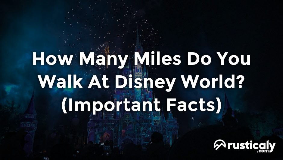 how many miles do you walk at disney world