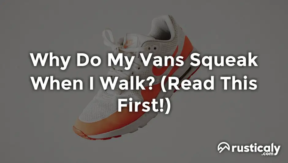 Why Do My Vans Squeak When I Walk? (Finally Explained!)