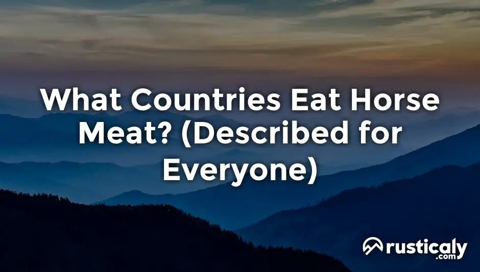 what countries eat horse meat