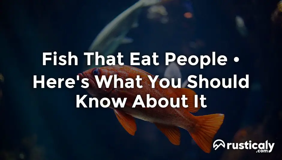 fish that eat people