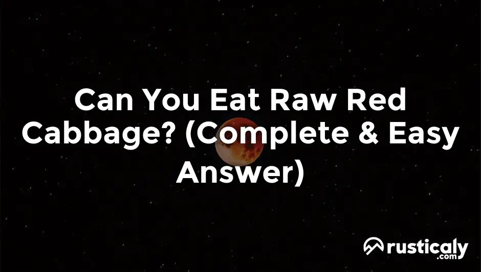 can you eat raw red cabbage