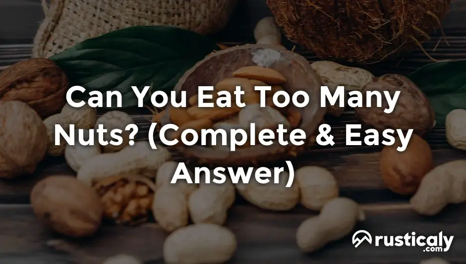 Can You Eat Too Many Nuts The Ultimate Explanation 6-benefits-of-adding-nuts-to-your-diet-healthifyme-blog