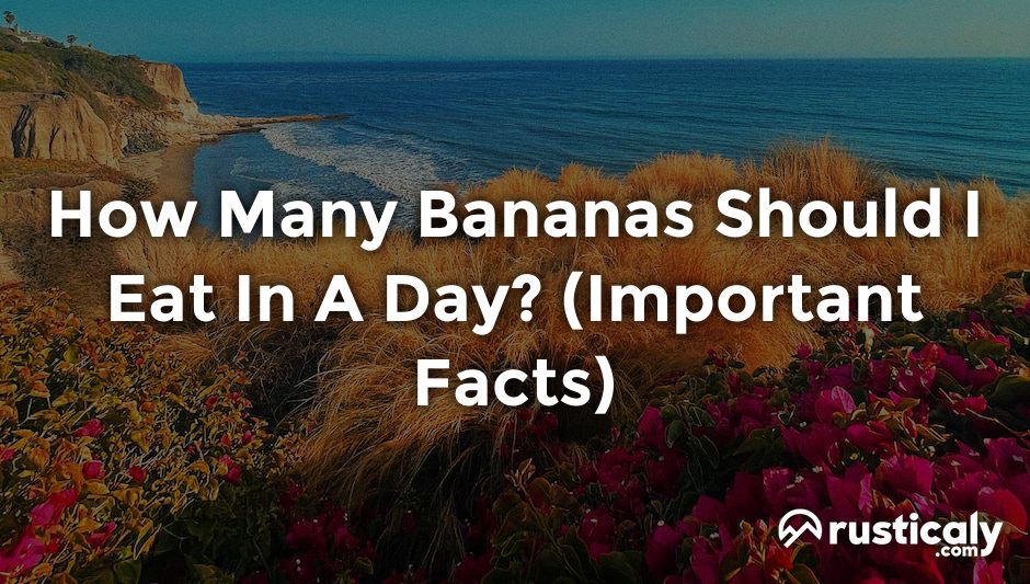 how many bananas should i eat in a day