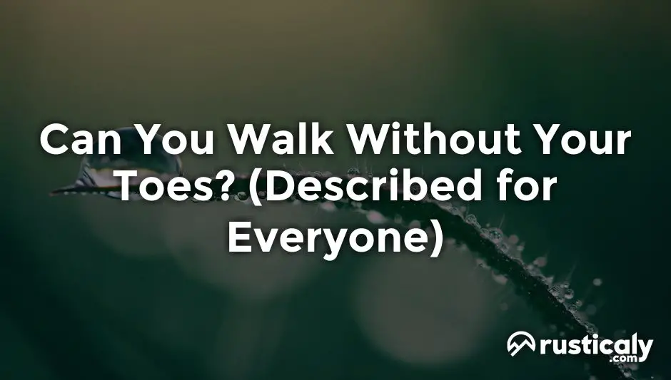 can you walk without your toes