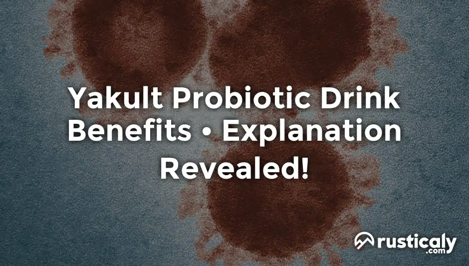 yakult probiotic drink benefits
