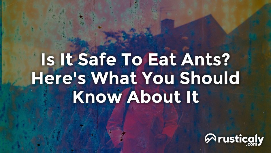 is it safe to eat ants
